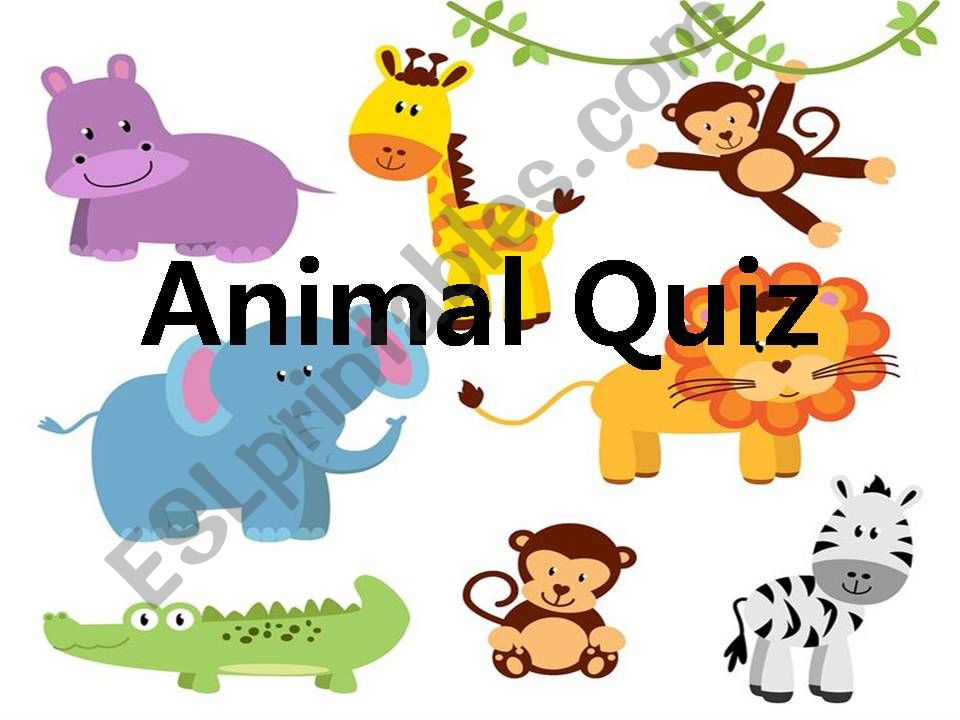 Animal Quiz (Trivia facts) powerpoint