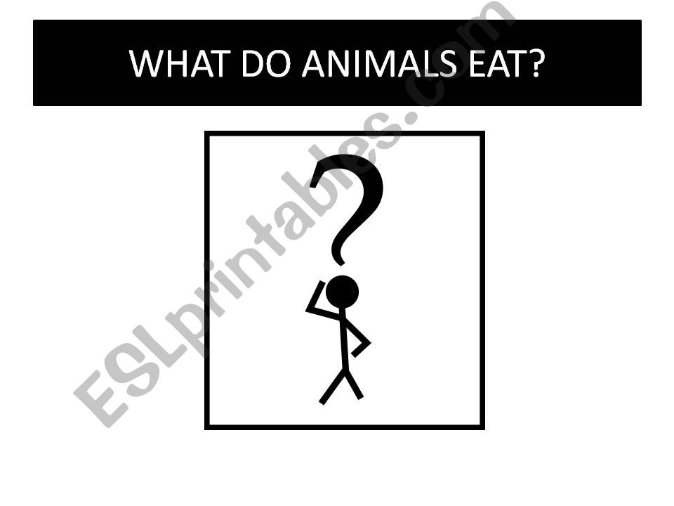 What do animals eat? powerpoint