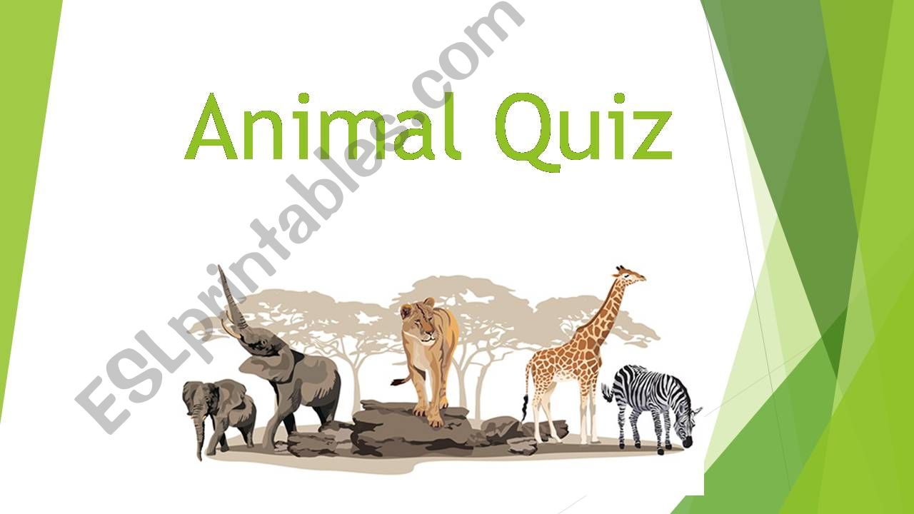 Animal Quiz powerpoint