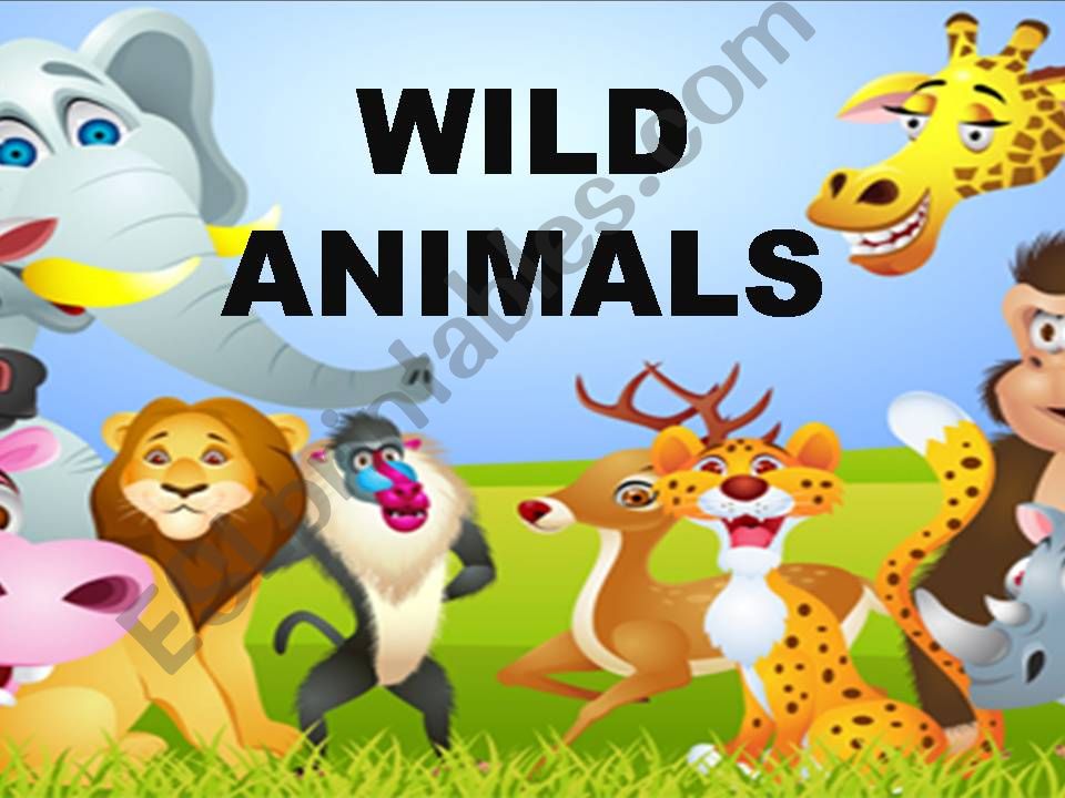 Wild Animals powerpoint