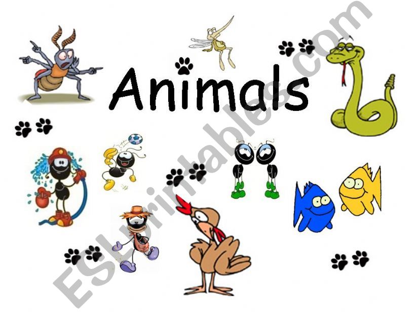 Simple Describing Animals powerpoint