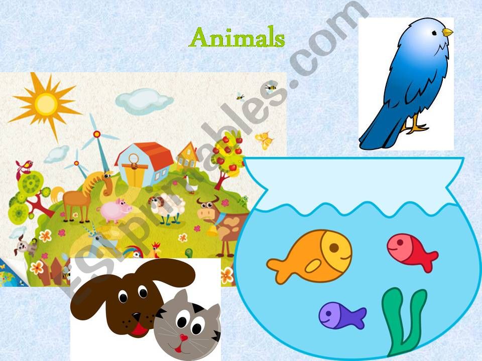 animals powerpoint