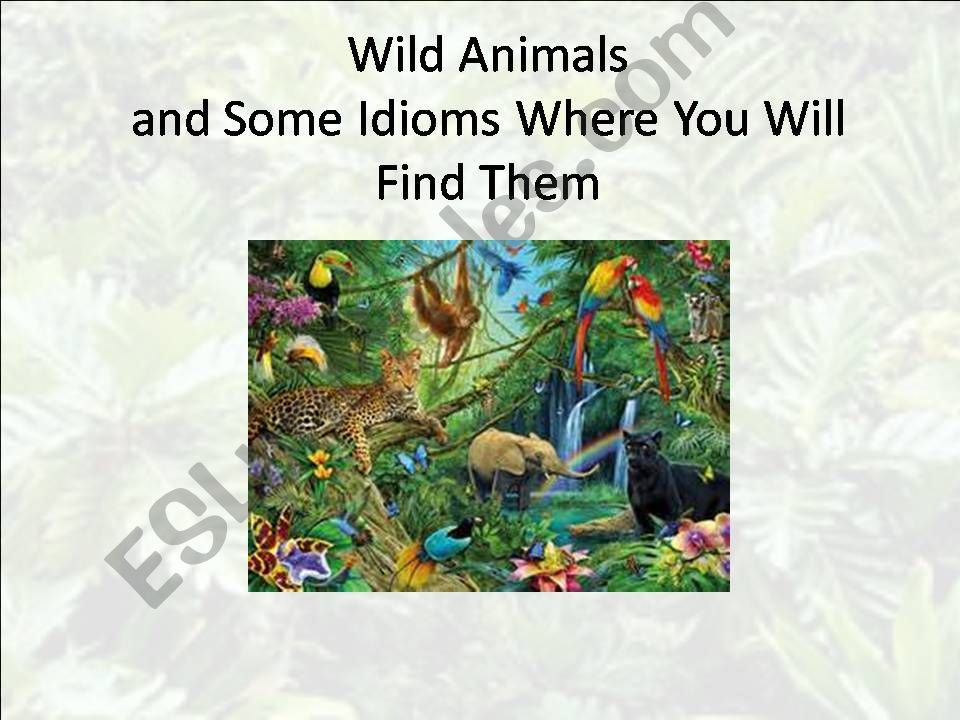 Wild Animal Idioms powerpoint