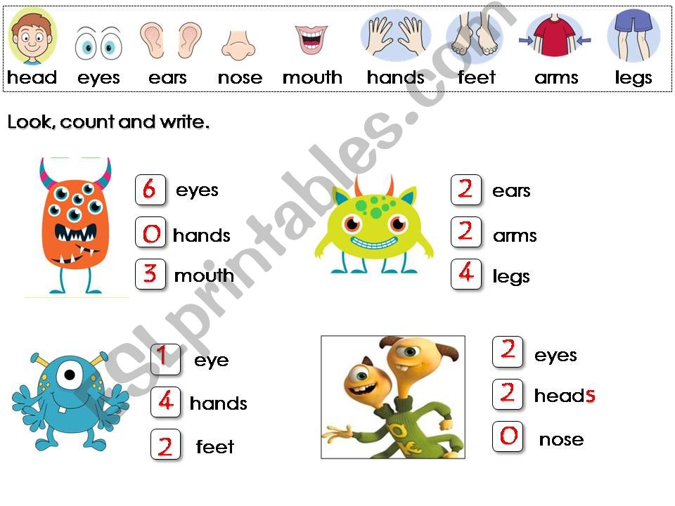 Body parts powerpoint