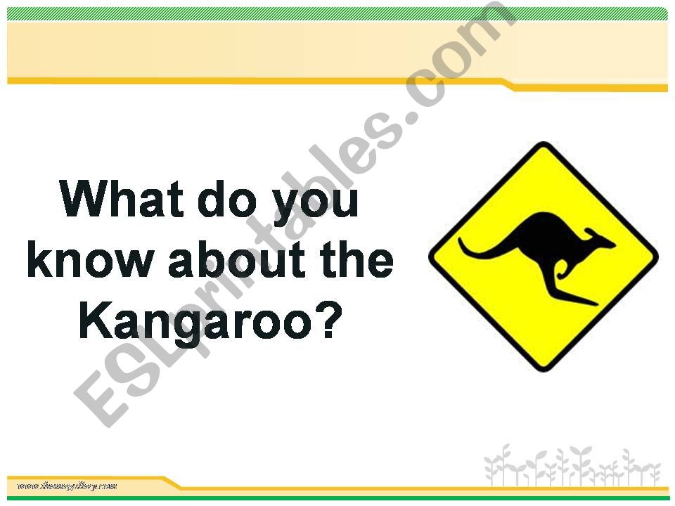 The Kangaroo powerpoint