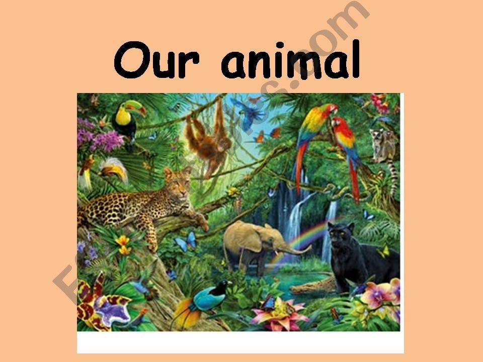 animal writing powerpoint