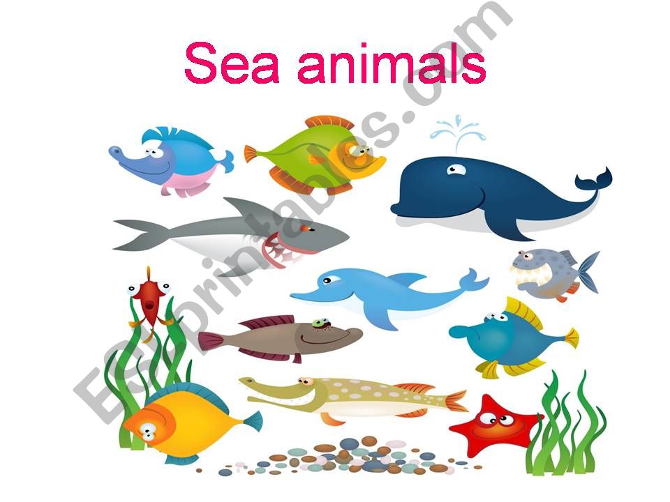 sea animals powerpoint