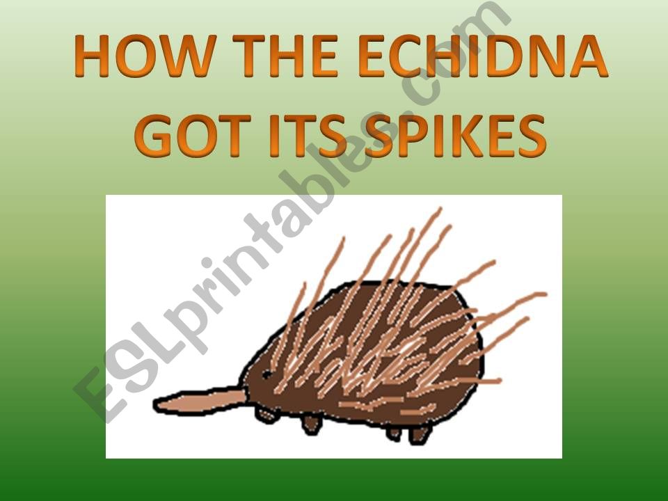 ESL English PowerPoints How the echidna got its spikes