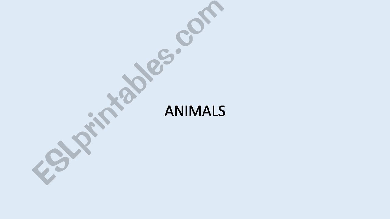 Animals  powerpoint