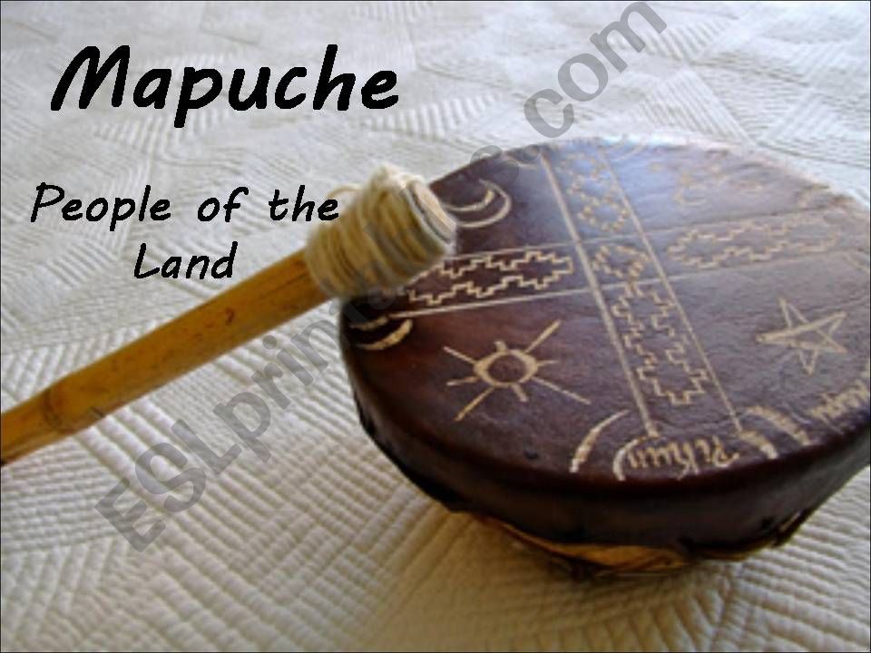 Mapuches powerpoint