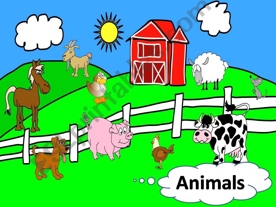 Animals powerpoint