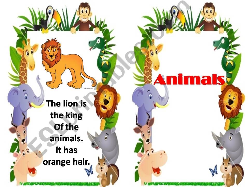 animals  powerpoint