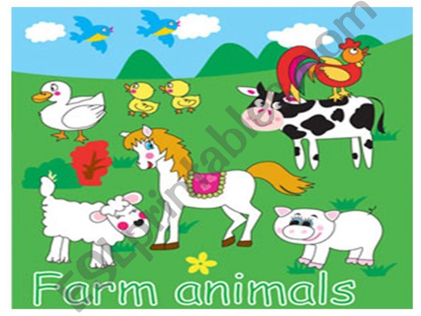 FARM ANIMALS powerpoint