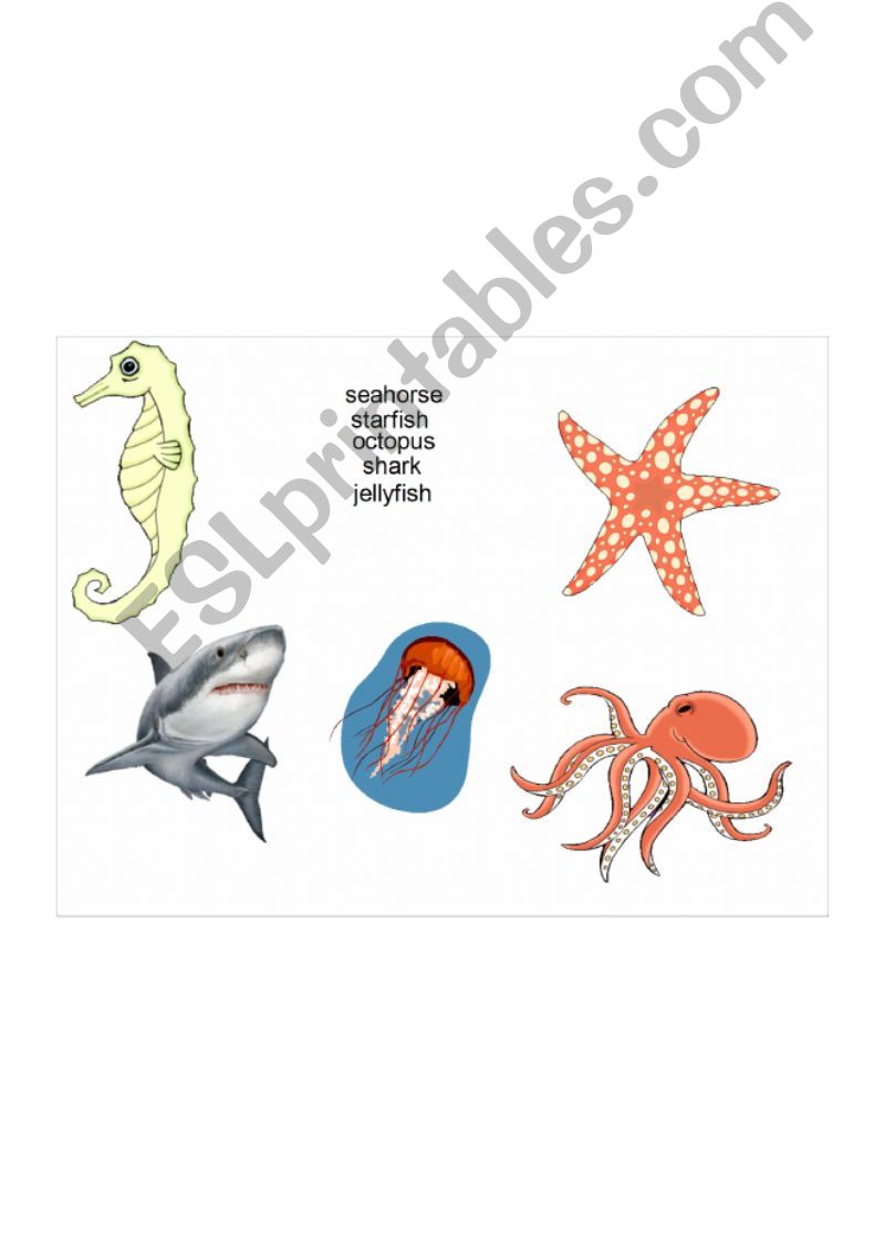 Sea Animals powerpoint