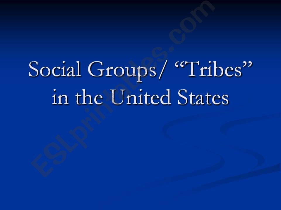 Social Groups in the United States