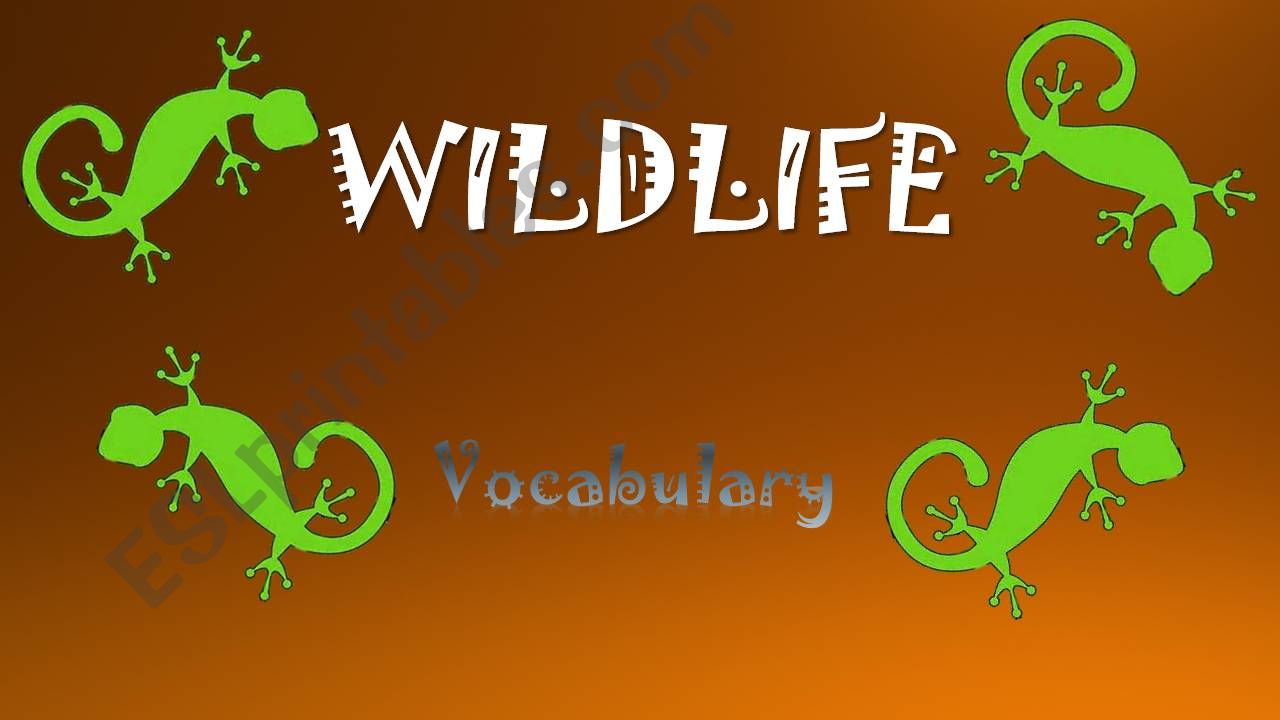 Wildlife with ANIMATION powerpoint