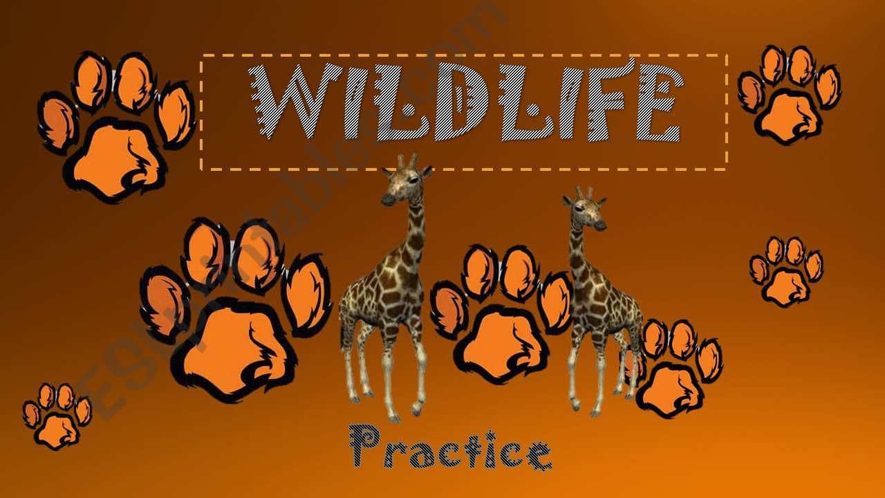 Wildlife EXERCISES powerpoint