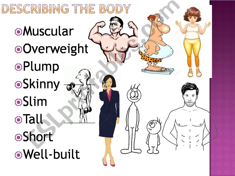 Physical Description powerpoint