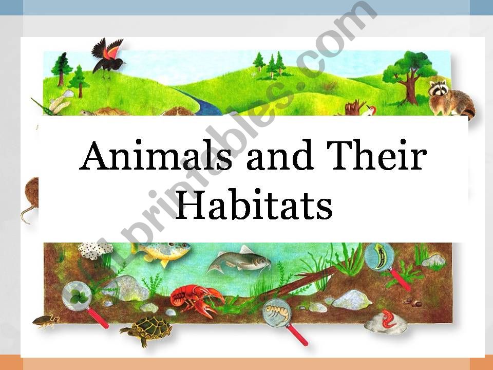 Animals and Their Biomes powerpoint