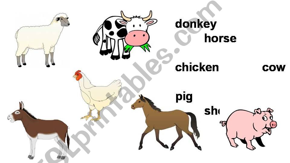 Animal Vocabulary Flashcards and Mix/Match