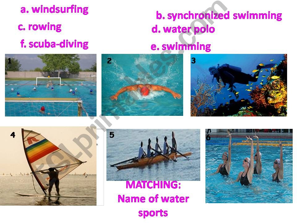Matching: Name of water sports