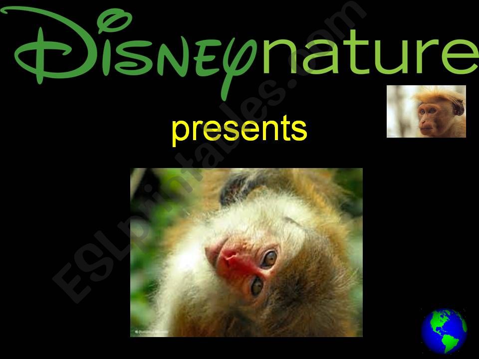 Monkey Kingdom powerpoint