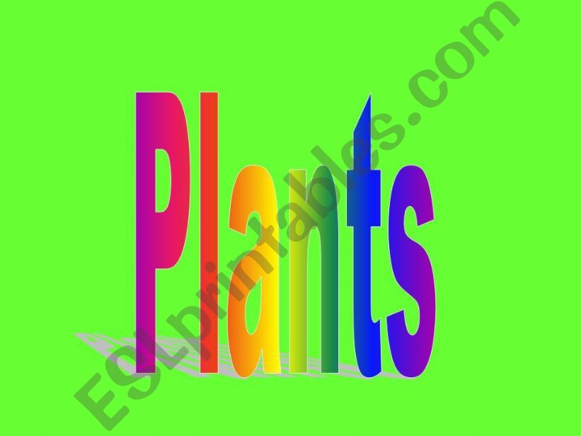 Parts of a Plant powerpoint