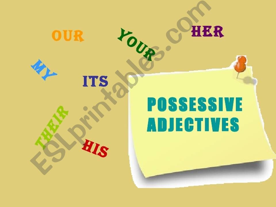 Possessive adjectives powerpoint