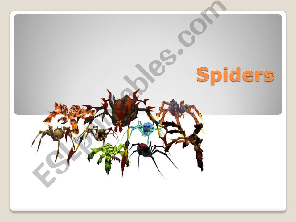 Spiders powerpoint