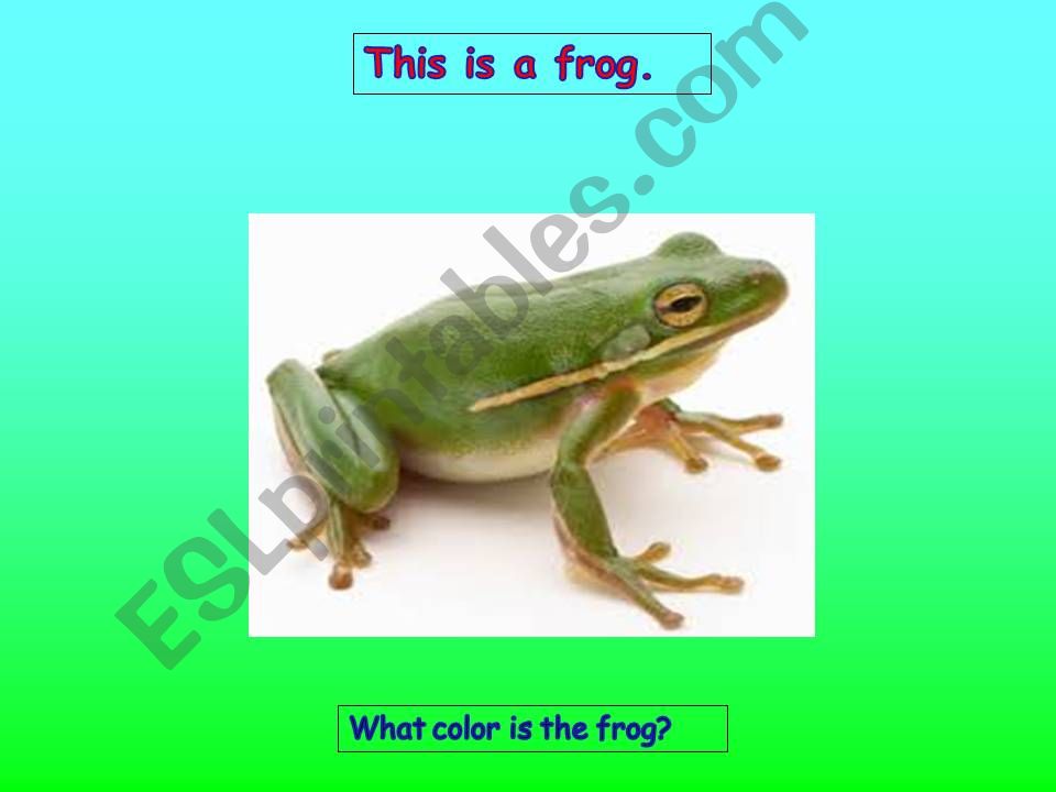 The Frog Family on a Hot Day powerpoint