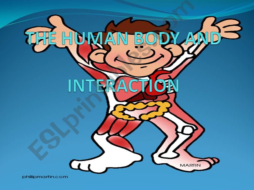 The human body and interaction