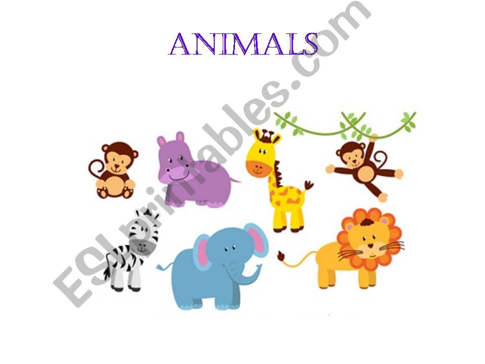 ANIMALS powerpoint