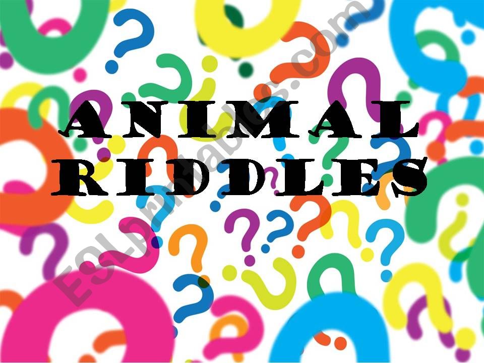 animal riddles powerpoint