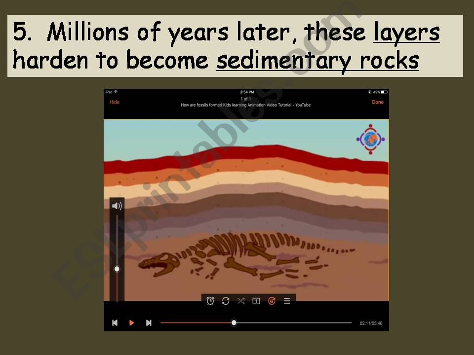 How are fossils formed? Part 2