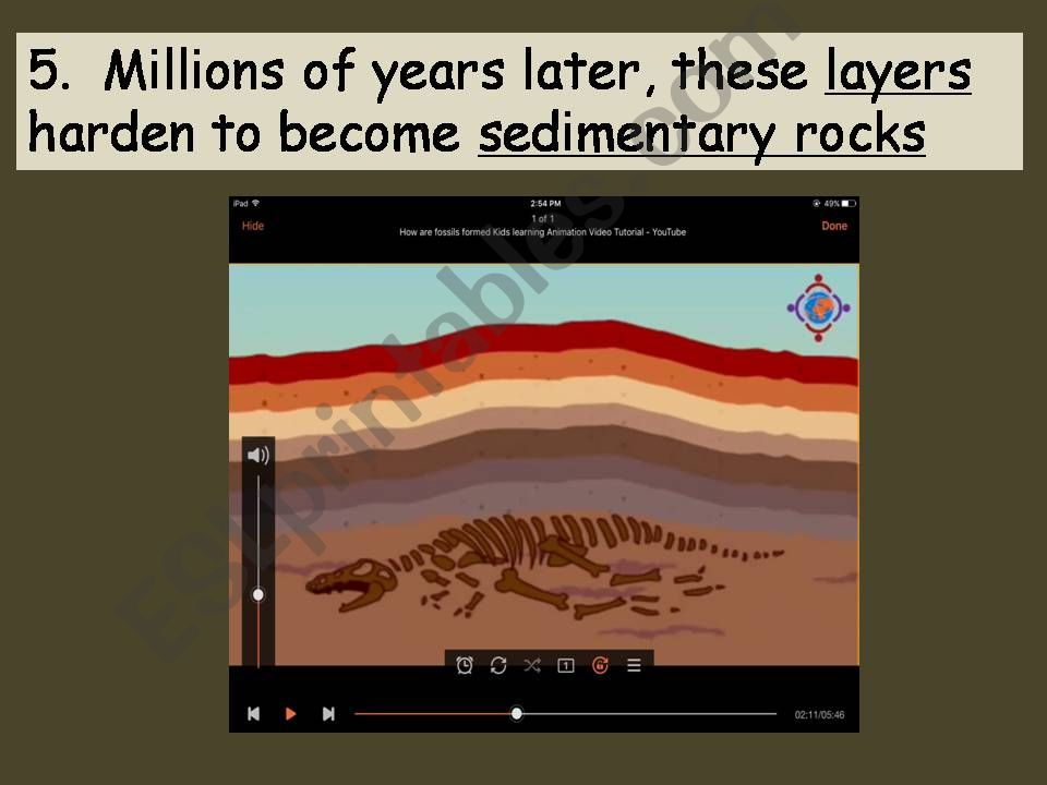 How are fossils formed? Part 2