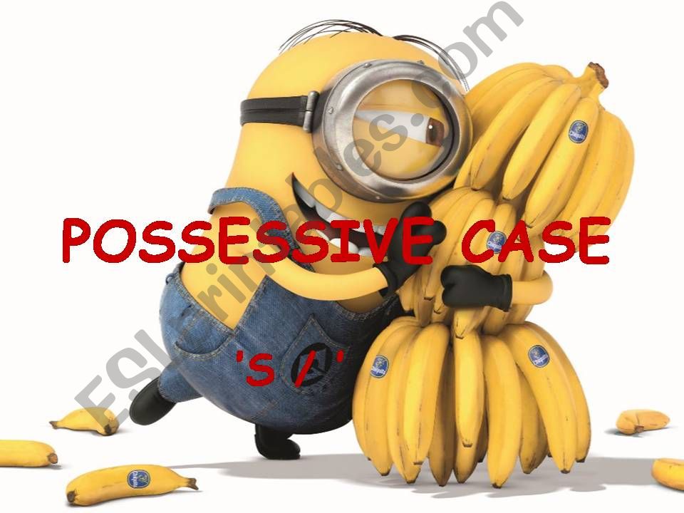 POSSESSIVE CASE powerpoint