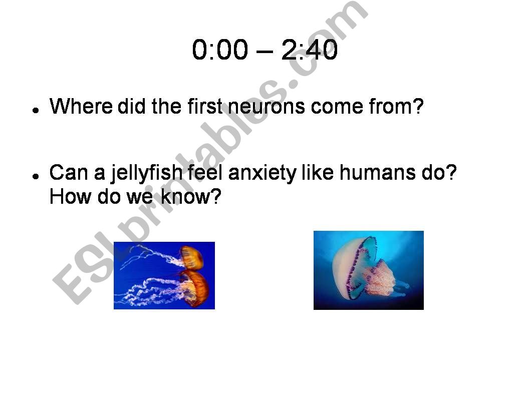 ESL - English PowerPoints: TED TALK - Animals think and feel ESL - English PowerPoints: TED TALK - Animals think and feel