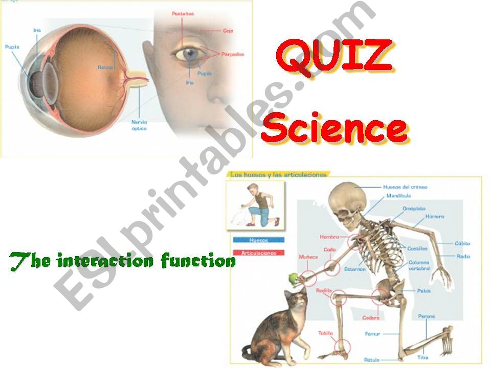 Interaction Function powerpoint