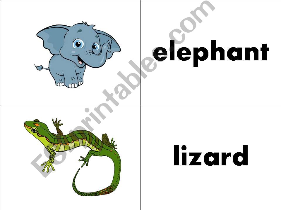 Animals Flashcards for Starters