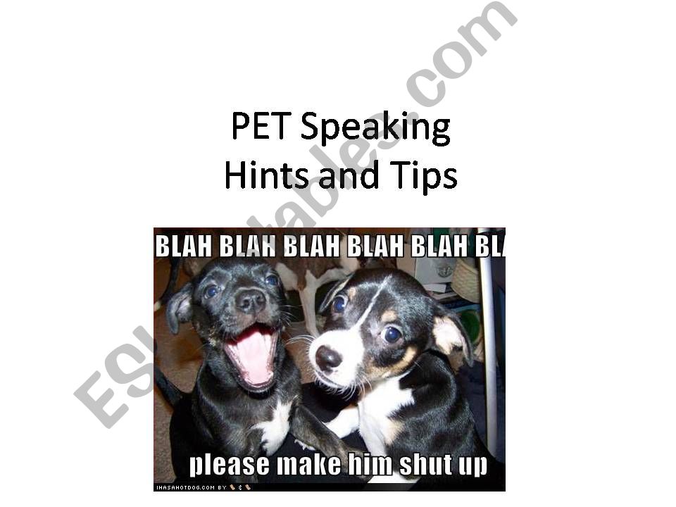 A few tips to help with the PET speaking exam