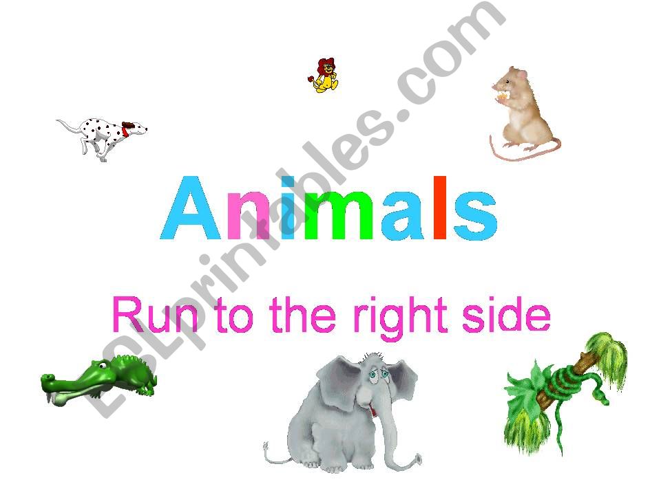 Animals  powerpoint