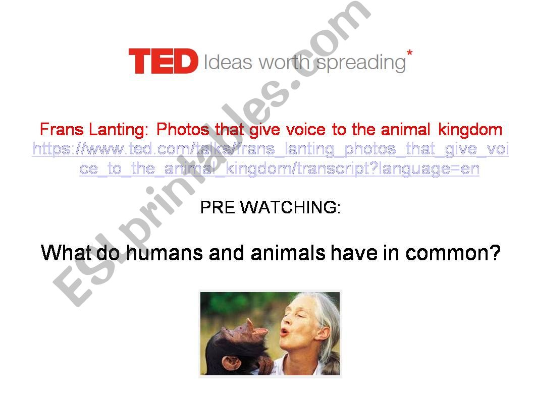 The animal kigdom - ted talk powerpoint