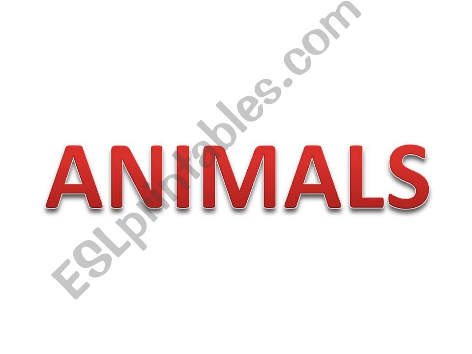 ANIMALS powerpoint