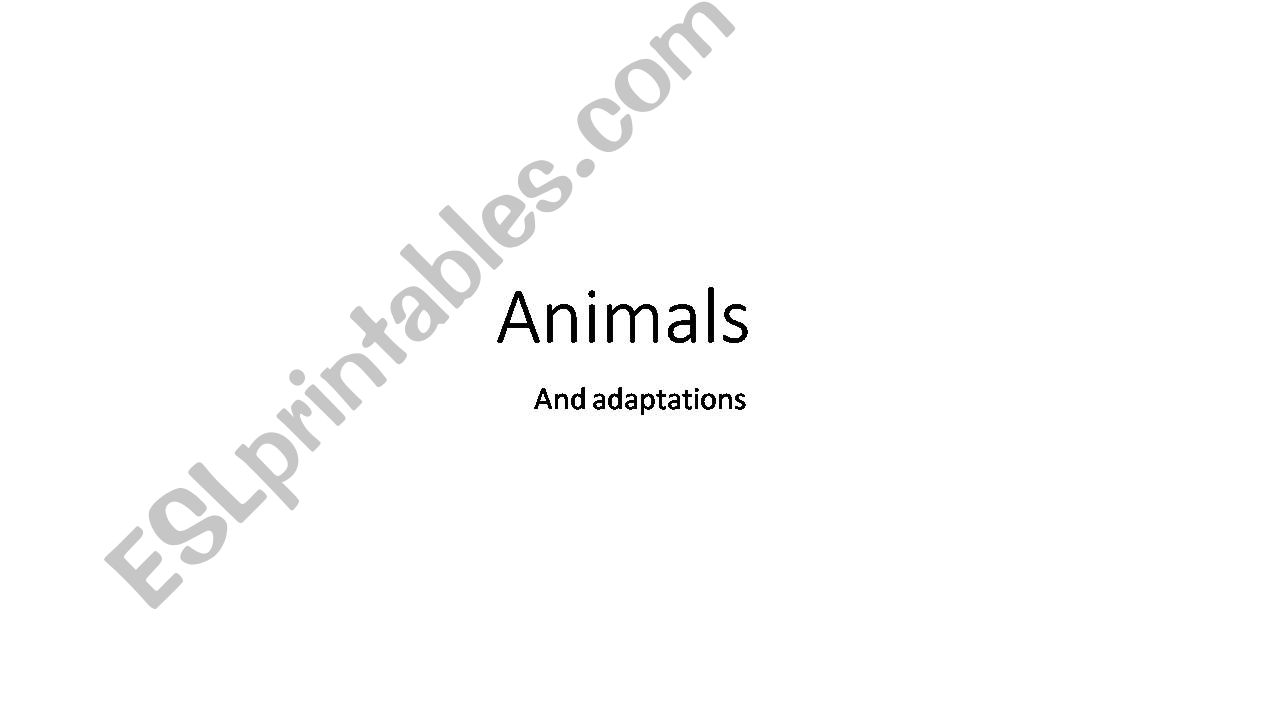 Animals and Adaptations  powerpoint