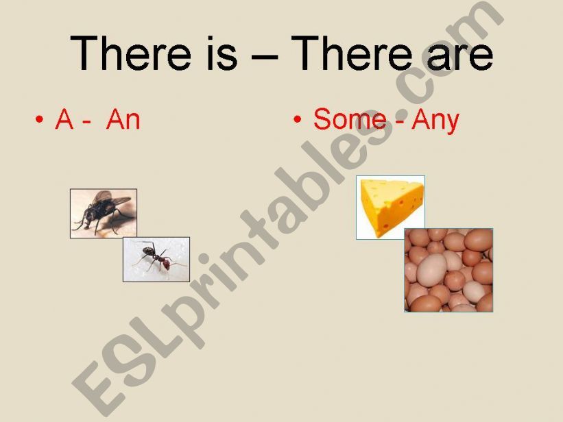 There is-There are. A, an, some, any.