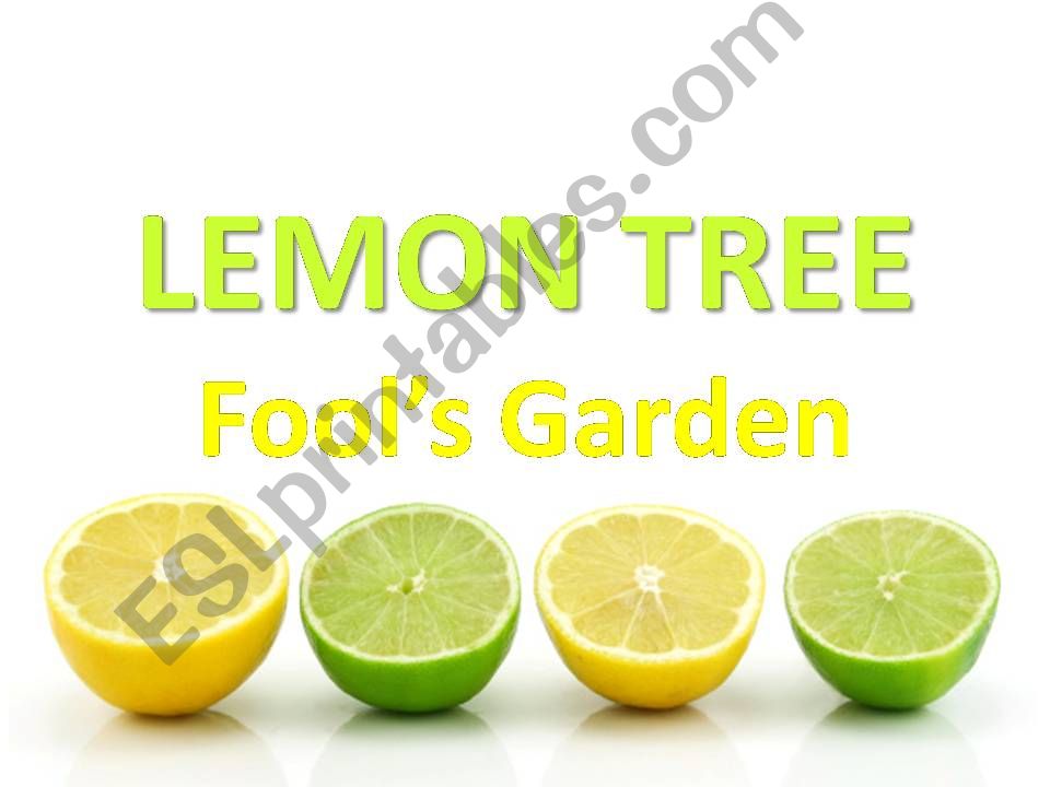 LEMON TREE - song powerpoint