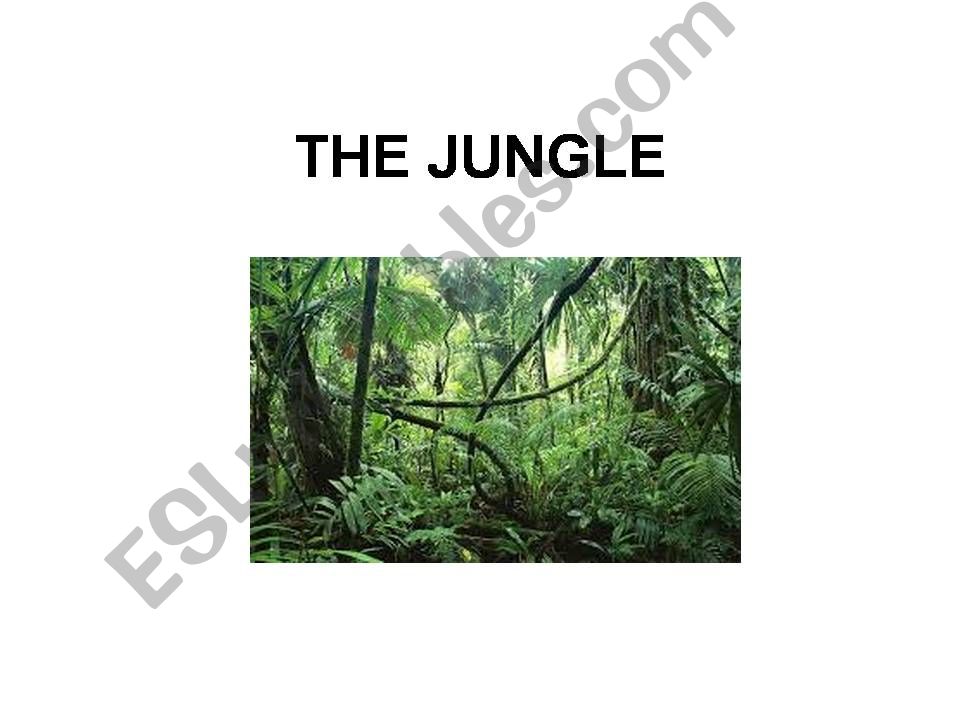 THE JUNGLE powerpoint