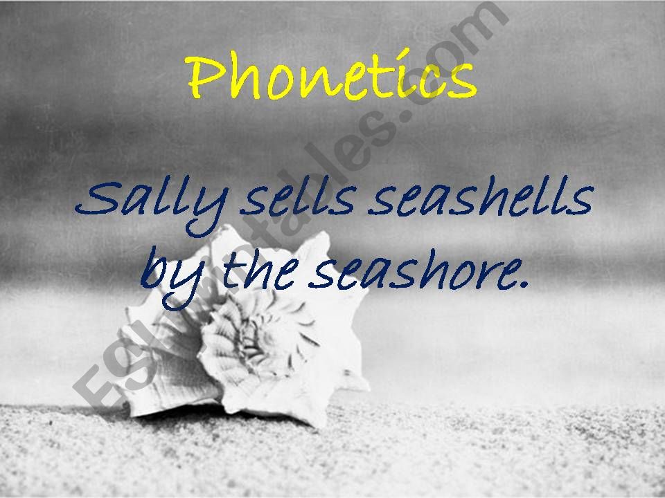 Sally Sells Seashells by the Seashore The Real Story