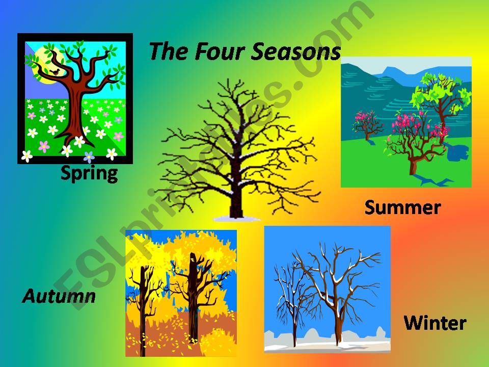 SEASONS powerpoint