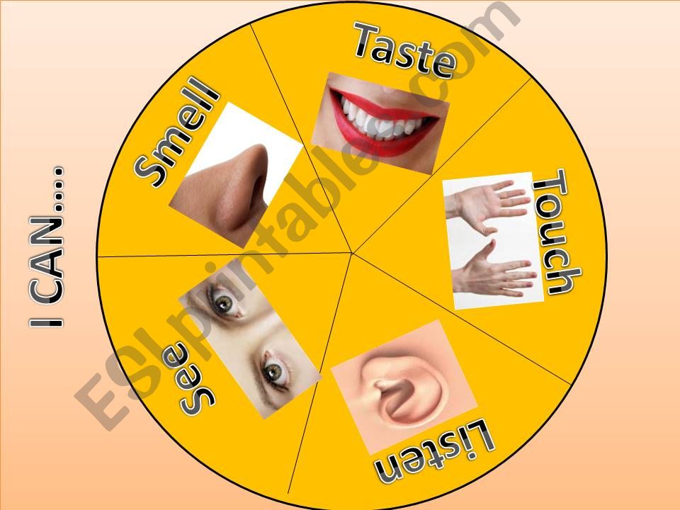 FIVE SENSES powerpoint